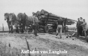 Aufladen von Langholz 1963 Aufladen von Langholz 1963