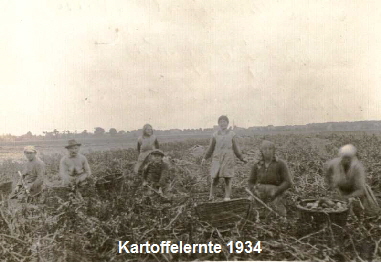 Feierabend_Kartoffel_1934