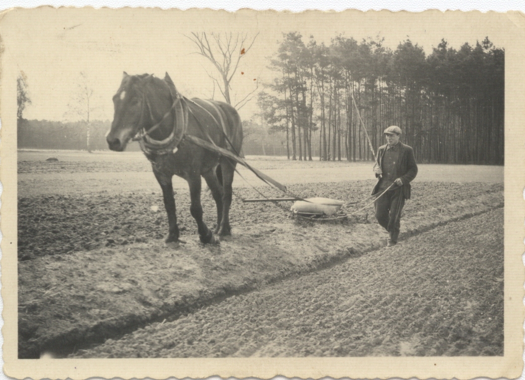 03_Beim Eggen um 1930 03_Beim Eggen um 1930