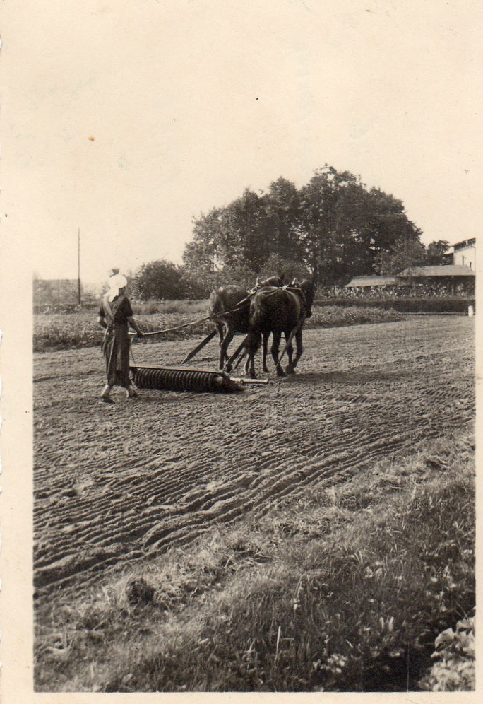 10_1928 Minna Land geb.Lehmann beim Walzen 10_1928 Minna Land geb.Lehmann beim Walzen